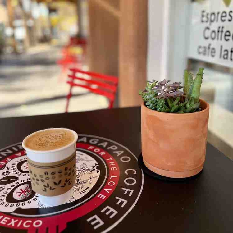 Best cafes with WiFi Santa Fe